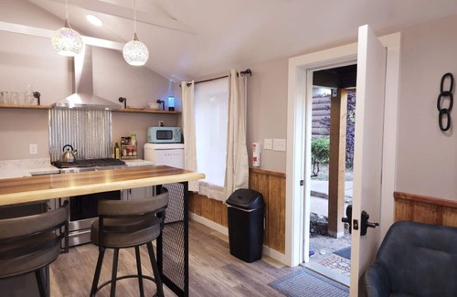 Glenwood Springs Cabina | Dazzling New Remodel+Kitchen #5