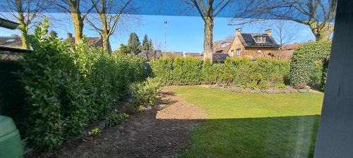 Abshoven Cama Y Desayuno | De beukenboom Bed and Breakfast