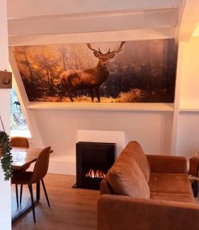 Bohon Chalet De Esquí | de bosdriehoek II