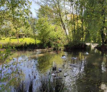 Navarrenx Cama Y Desayuno | De couleurs et d'eau fraîche