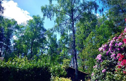 't Harde Casa | De Drie Beuken