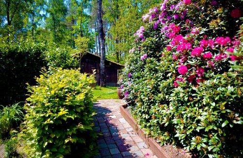 't Harde Casa | De Drie Beuken