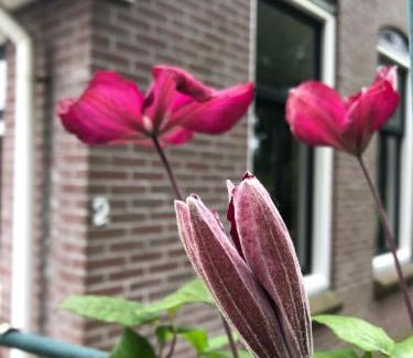 Schoonloo Casa | De Eurostee - Boerderij appartementen