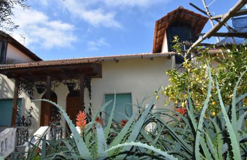 Schiazzano Apartamento | De Gregorio