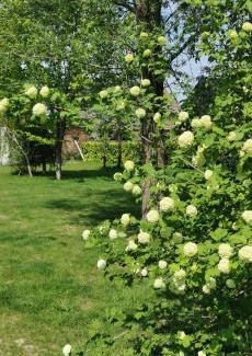 Everbeek Casa | De Groene Hoeve