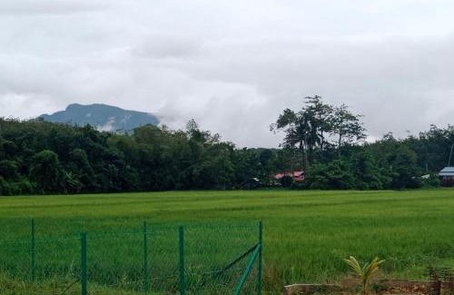 Kampung Bagan Asam Casa | De Hampar Homestay