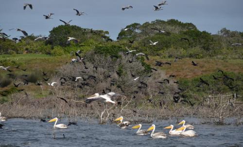 Overberg Complejo | De Hoop Collection - Vlei Cottages