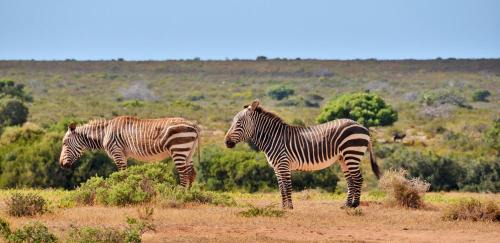 Overberg Complejo | De Hoop Collection - Vlei Cottages