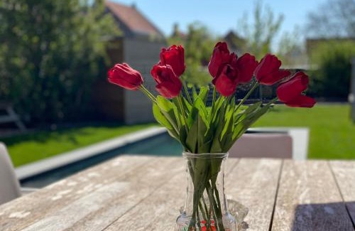 Ramskapelle Casa | De Lanterfanters Vakantiehuis Jef