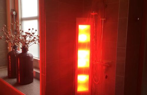 Lievelde Casa | De Lindenburg met privé hottub, sunshower, sauna, grote tuin met weidezicht en vrije ligging, 6-persoons