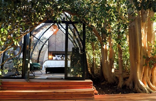 Montagu Apartamento | De Nest - Clear glass Tree cabin in Montagu