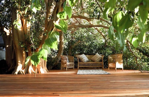 Montagu Apartamento | De Nest - Clear glass Tree cabin in Montagu