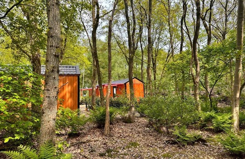 Zuidwolde Chalet De Esquí | De Sluus in de Natuur
