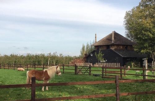 Zoelen Casa | De Steltenberg in de Betuwe