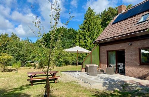 Renesse Casa | De Zeelieuwe