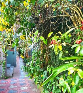 Pirmed Apartamento | Dean Dale Cottages
