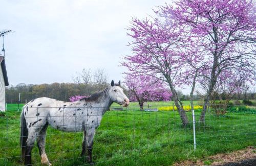 Bealeton Casa | Deck and Pasture Views! Bealeton Farmhouse Escape