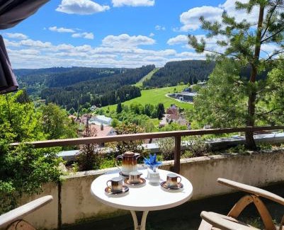 Schonach im Schwarzwald Apartamento | Deck-Apartment next to the forest