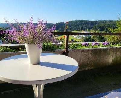 Schonach im Schwarzwald Apartamento | Deck-Apartment next to the forest