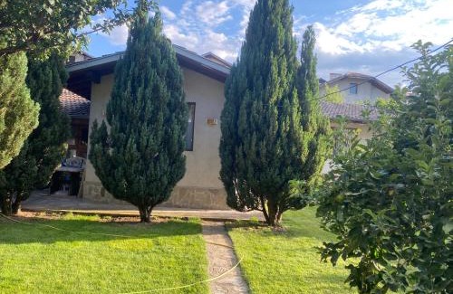 Old Town Casa | Deers