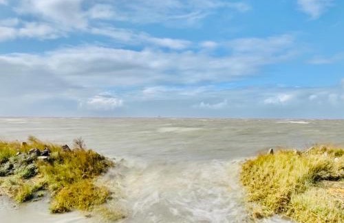 Friedrichskoog-Spitze Apartamento | Deichoase Strandhaus