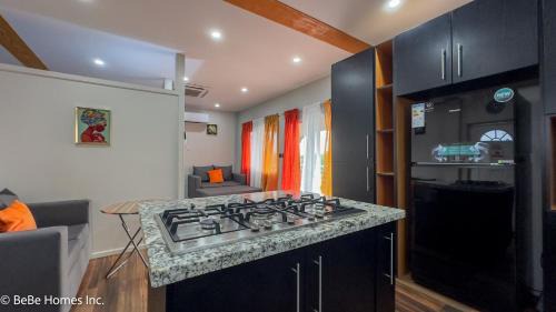 Vieux Fort Quarter Apartamento | Deity Divine Suite - 12 min from UVF Airport