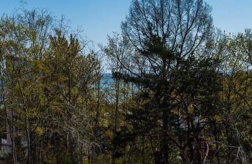 Wzgorze Swietego Maksymiliana Apartamento | Del Mar