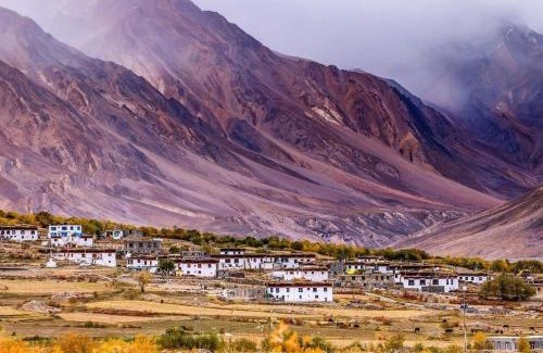 Losar Casa | Delek Homestay Losar