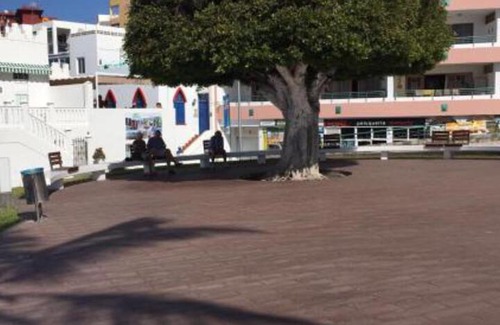 Puerto Naos Hotel | Delfin Playa