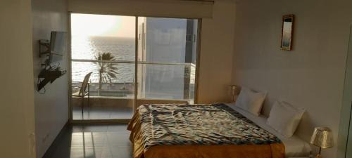 Pisco Apartamento | Delfines de Paracas