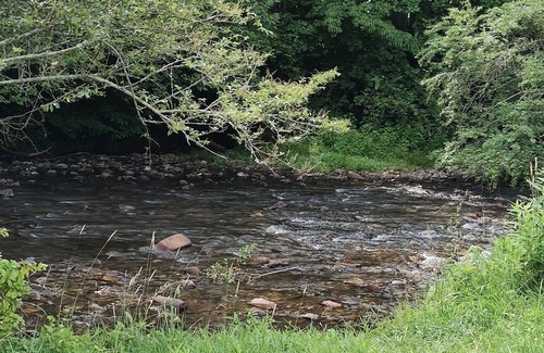 Andrews Alquiler De RV | Delightful campground in Andrews on the river.