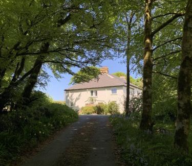 Dartmoor Forest Apartamento | Delightful Dartmoor Apartment