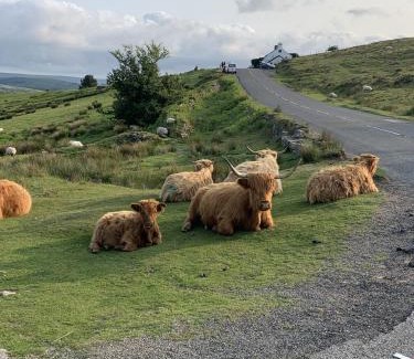 Dartmoor Forest Apartamento | Delightful Dartmoor Apartment