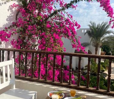El Hadaba Apartamento | Delta Sharm