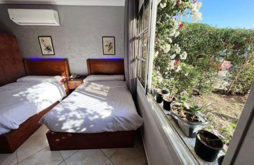 El Hadaba Apartamento | Delta Sharm studio with garden view