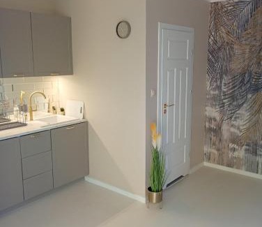 Ciechanow Apartamento | Deluxe Apartament kuchnia z tarasem i parkingiem na wyłączność