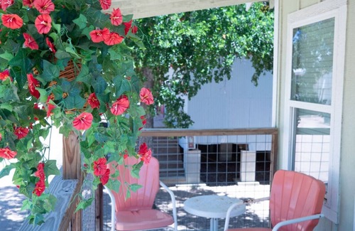 Kerrville Cabina | Deluxe King Cabin #15 near Guadalupe River