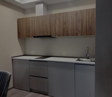 Bakuriani Apartamento | Deluxe One Bedroom Apartment in Crystal Resort Bakuriani