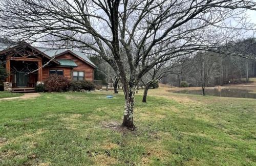 Tellico Plains Casa | Deluxe Parkland Cabin - Pet and Motorcycle Friendly Home