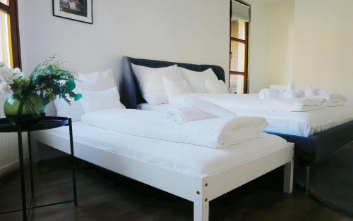 Castle Hill Apartamento | Deluxe Swan Stone Castle Apartment