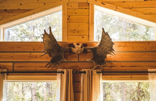 Healy Cabina | Denali Wild Stay - CABINA DE ALCES