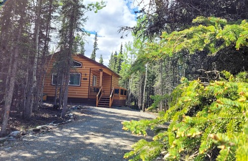 Healy Cabina | Denali Wild Stay - CABINA DE ALCES