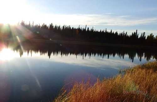 Healy Cabina | Denali Wildlife Wolf Cabin Luxury con un toque de rústico