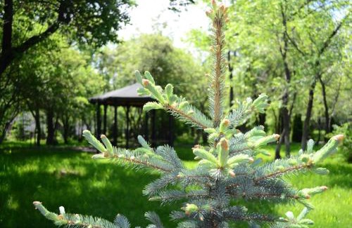 Almaty Province Hotel | Densaulyq Resort & Wellness - Almaty Region