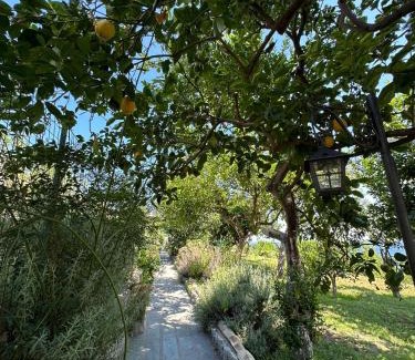 Marina Grande Casa | Depandance Casa Paolina