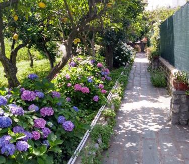 Marina Grande Casa | Depandance Casa Paolina