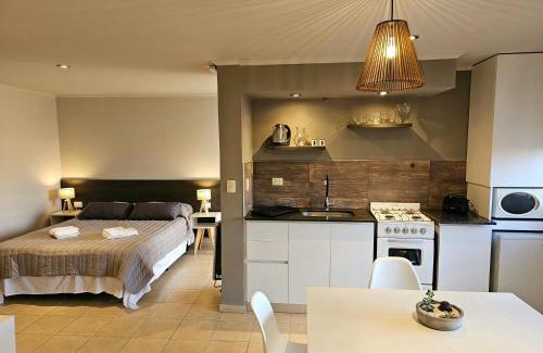Luján de Cuyo Apartamento | Departamento malbec cosecha 2