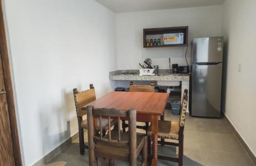Centro de Puerto Vallarta Apartamento | Departamento Caracol