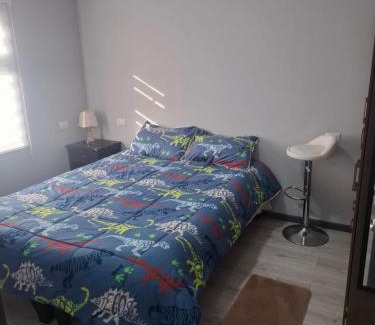 Valdivia Apartamento | Departamento centrico