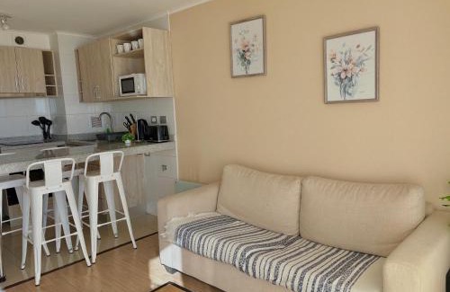 Chillan Apartamento | Departamento Centro Chillan - Parking -Vista
